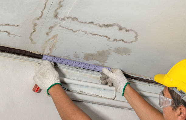 Reliable Water Damage Repair contractor in Hayfield, VA by Aqua Guard Water Damage